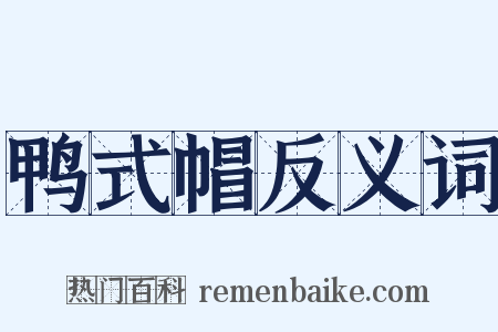 鸭式帽反义词是什么意思的图片